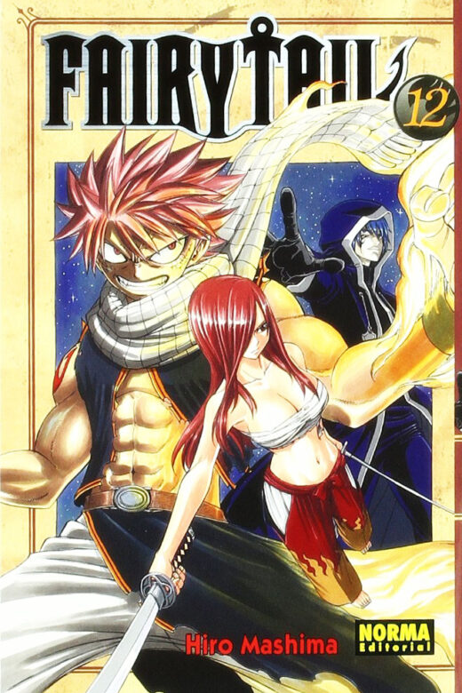 Manga Fairy Tail 12