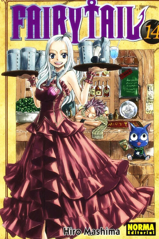 Manga Fairy Tail 14