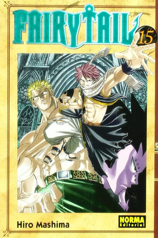 Manga Fairy Tail 15