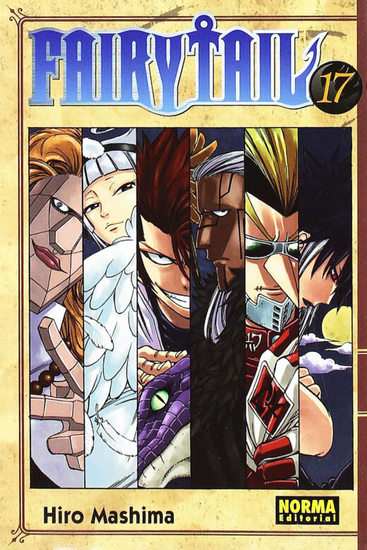 Manga Fairy Tail 17