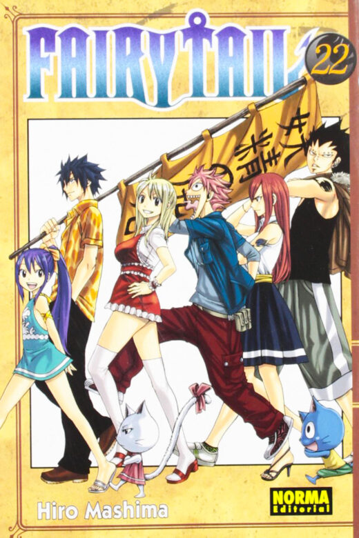 Manga Fairy Tail 22