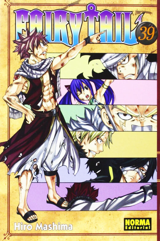 Manga Fairy Tail 39