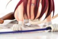 Descubre el apasionante mundo de Estatua Erza Scarlet Cat Gravure Style.