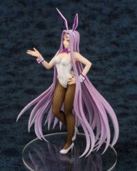 Descubre el apasionante mundo de Estatua Medusa Miwaku no Bunny Suit.