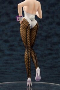 Descubre el apasionante mundo de Estatua Medusa Miwaku no Bunny Suit.