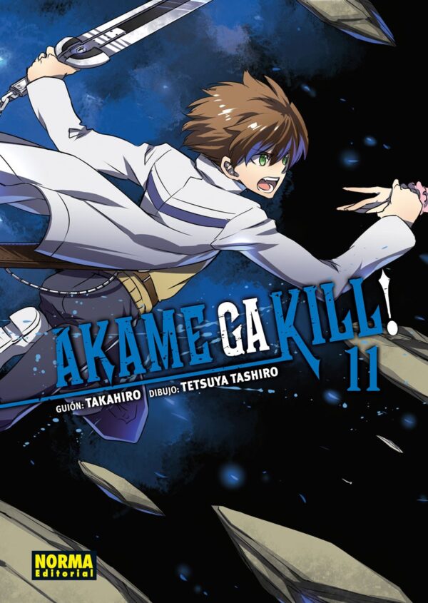 Akame ga Kill Manga 11 Akame ga Kill Manga 11