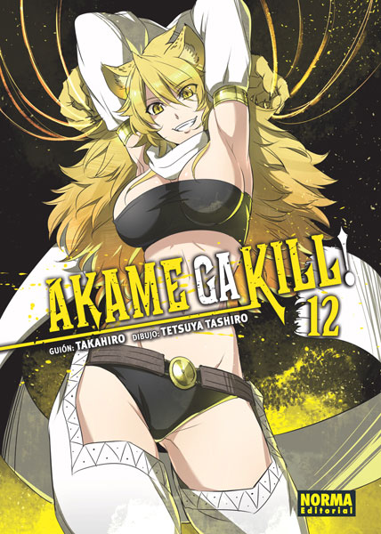 Manga Akame ga Kill 12