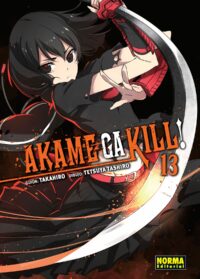 Akame ga Kill Manga 13