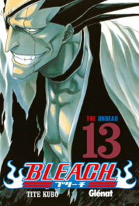 Bleach 13