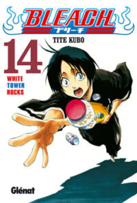 Bleach 14
