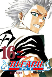 Bleach 16