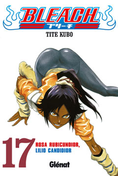 Bleach manga Tomo 17 » Tu Tienda Anime