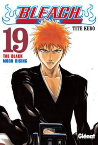 Bleach 19