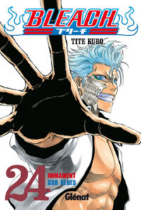 Bleach 24