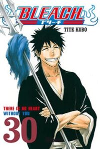 Bleach 30