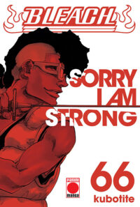 Bleach 66