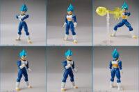 Descubre el apasionante mundo de Figura Vegeta Super Saiyan God 15cm.