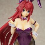 Descubre el apasionante mundo de Figura High School DxD Rias Gremory.