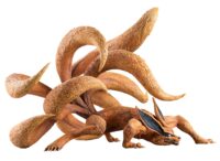 Descubre el apasionante mundo de Figura Naruto Shippuden Serie GEM Precious Kurama 45 cm.