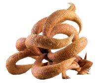 Descubre el apasionante mundo de Figura Naruto Shippuden Serie GEM Precious Kurama 45 cm.