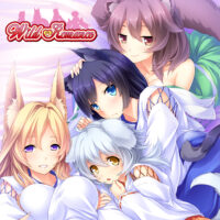 Descubre el apasionante mundo de Wild Romance PC Descargar.