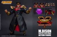 Descubre el apasionante mundo de Figura Street Fighter V M Bison.
