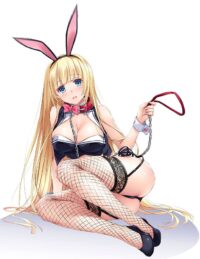 Descubre el apasionante mundo de Figura Hentai Claire Bunny.