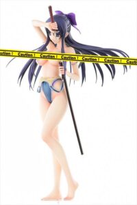 Descubre el apasionante mundo de Figura Hentai Walkure Romanze Akane.