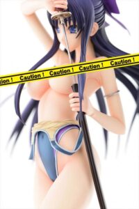 Descubre el apasionante mundo de Figura Hentai Walkure Romanze Akane.