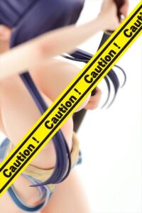 Descubre el apasionante mundo de Figura Hentai Walkure Romanze Akane.