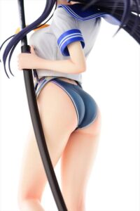 Descubre el apasionante mundo de Figura Hentai Walkure Romanze Akane.