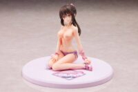Descubre el apasionante mundo de Figura Hentai Anmi Pink.