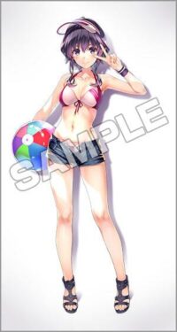 Descubre el apasionante mundo de Figura Michiru Hyodo Swimsuit Saekano.