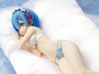 Descubre el apasionante mundo de Figura Rem Sleep Sharing Blue Lingerie Re ZERO.