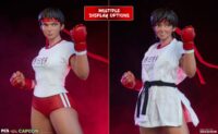 Descubre el apasionante mundo de Figura Street Fighter Sakura Gym.