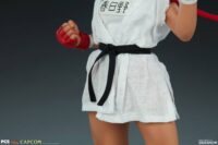 Descubre el apasionante mundo de Figura Street Fighter Sakura Gym.