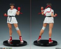 Descubre el apasionante mundo de Figura Street Fighter Sakura Gym.