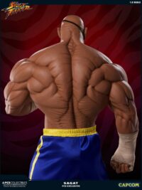 Descubre el apasionante mundo de Estatua Street Fighter Sagat.