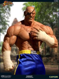 Descubre el apasionante mundo de Estatua Street Fighter Sagat.