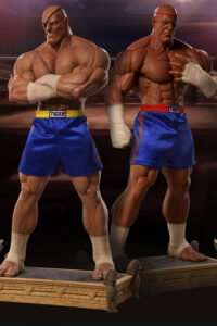 Descubre el apasionante mundo de Estatua Street Fighter Sagat Evolution.