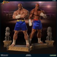 Descubre el apasionante mundo de Estatua Street Fighter Sagat Evolution.