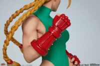 Descubre el apasionante mundo de Estatua Street Fighter Cammy.
