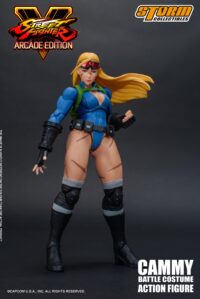 Descubre el apasionante mundo de Figura Cammy Street Fighter V.