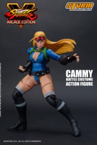 Descubre el apasionante mundo de Figura Cammy Street Fighter V.