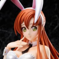 Descubre el apasionante mundo de Figura Code Geass Lelouch of the Rebellion Shirley.