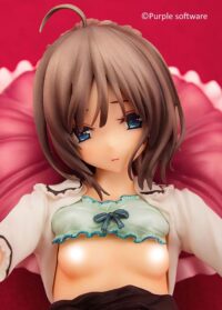 Descubre el apasionante mundo de Figura Hentai Hotaru Minazuki 20 cm.