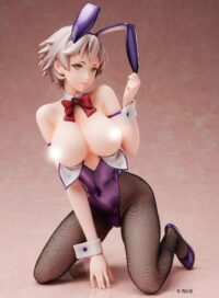 Descubre el apasionante mundo de Figura Hentai Rei Tsukushi Bunny 27 cm.