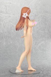 Descubre el apasionante mundo de Figura Hentai Sakurako Hinamori.