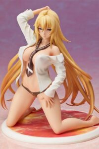Descubre el apasionante mundo de Figura Hentai Valkyrie Drive Mermaid Shikishima Mirei 12 cm.