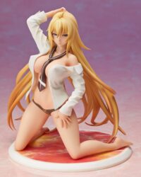 Descubre el apasionante mundo de Figura Hentai Valkyrie Drive Mermaid Shikishima Mirei 12 cm.
